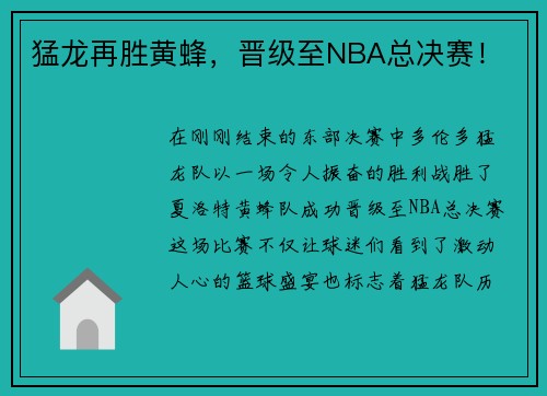 猛龙再胜黄蜂，晋级至NBA总决赛！